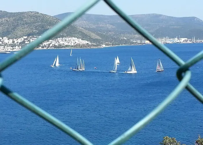 Begonville דירה *