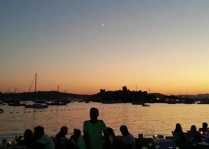 Lägenhet Begonville *